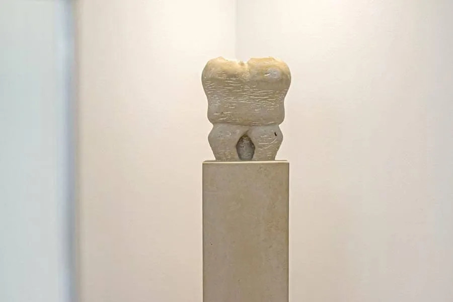Zahnskulptur auf einem Steinsockel in der Zahnarztpraxis Kiel-Düsternbrook